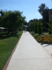 CIMG0697_500x667.JPG