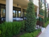 CIMG0714_500x375.JPG