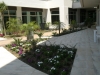 CIMG0760.JPG