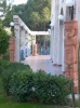 CIMG0803_500x667.JPG