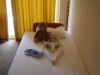 DSC01400.JPG