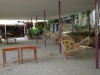 DSC02139.JPG