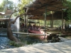 DSC02165.JPG