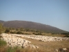 DSC02202.JPG
