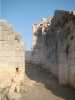 DSC02221.JPG