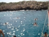 DSC02352.JPG