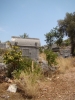 DSC02421.JPG