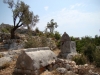 DSC02426.JPG