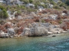 DSC02529.JPG