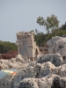DSC02548.JPG