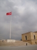 DSC05505.JPG
