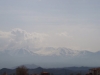 DSC05630.JPG