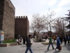 DSC05667.JPG