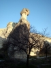 DSC05860.JPG