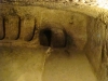 DSC06078.JPG