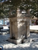 DSC06189.JPG