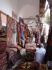 DSC07119.JPG