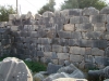 DSC08139.JPG