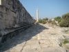 DSC08147.JPG