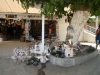DSC08343.JPG