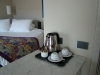 DSC08447.JPG