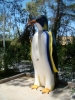 DSC08588.JPG