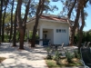 DSC08597.JPG