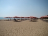 DSC08918.JPG