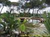 Ela_Quality_Resort_Belek_(56).jpg