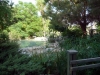 Gartenanlage.jpg