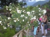 Marmaris_006.jpg
