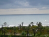 P1010155.JPG