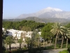 P3100200.JPG