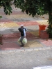 PA030033.JPG