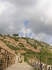 PA070037.JPG