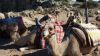 Türkei_2010_180.jpg