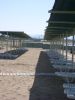 Urlaub_Asteria_Sorgun_2008_054.jpg