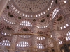 aDANA5_(60).JPG