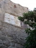 bodrum_(363).jpg