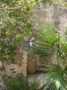 bodrum_(370).jpg