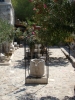bodrum_(395).jpg