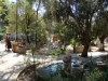 bodrum_(409).jpg
