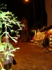 kas_028.jpg