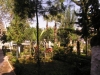 mERSIN_(12).JPG