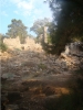 phaselis_(39).jpg