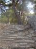 phaselis_(45).jpg