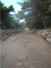 phaselis_(55).jpg