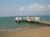susesibelek210608050708ed9.jpg