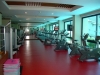 susesibelek210608050708uf8.jpg