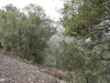 ute13_160.jpg